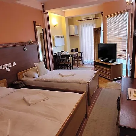 Kapistec 3* Skopje
